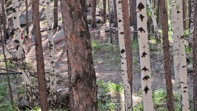 Чемпионат УРФО и Челябинской области по спортивному туризму в п. Слюдорудник, 31 мая 2025