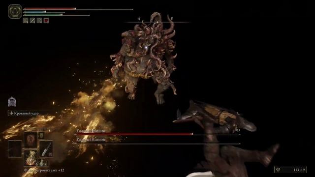 Враг №153 (Босс) Ужасные близнецы