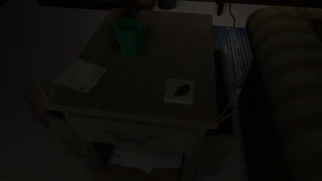 Gone Home 2 блуждания