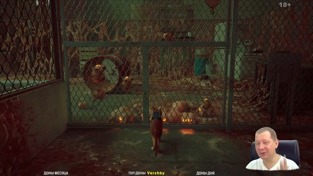 STRAY • Прохождение на ПК (2K + 60 FPS) #2