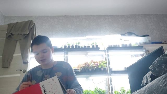 Я показал консоль Sega Retro Genesis!