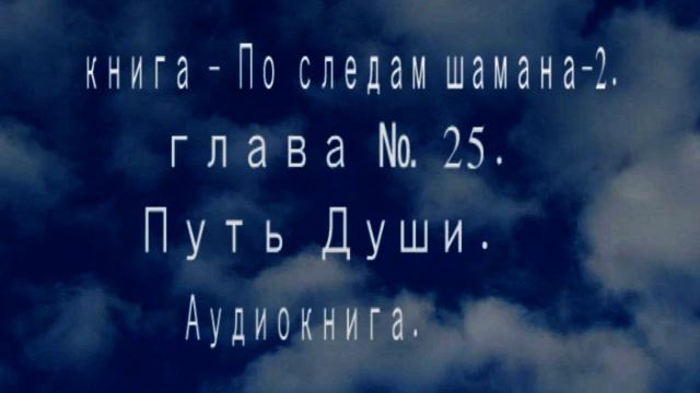 книга - По следам шамана - 2. глава - 25. Путь души.