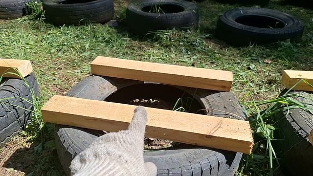 ГОТОВИМ ПЕРВЫЙ ТОЧЕК ДЛЯ ВЫСТАВКИ ПЧЁЛ