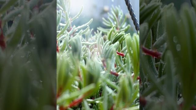 C0ddd9f6c3ec421cfdd0ffee1542bb9e