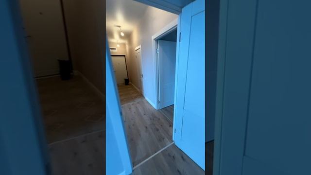 3968.mp4