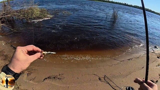 Первый выезд на Вычегду. Разведка рыбаловных точек, присматриваю новые места...