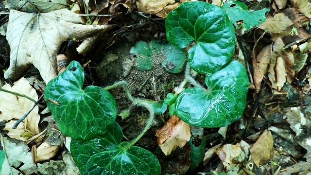 A89e904ac002f2559e3f2e42c78c18aa