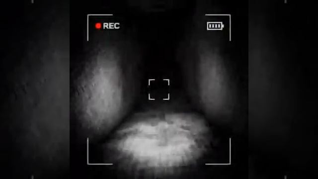 Content Warning Ccafaf95 (первый заход в новую игру Content Warning)