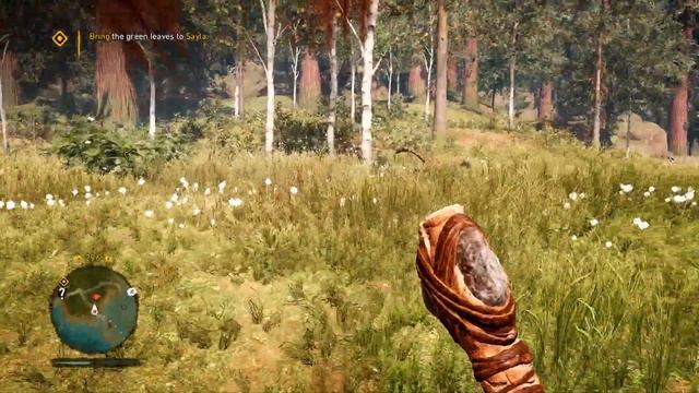 FAR CRY PRIMAL Прохождение ЧАСТЬ 2