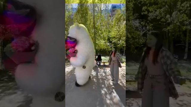 Cff2db9eac04a4066d75f8db2214528a