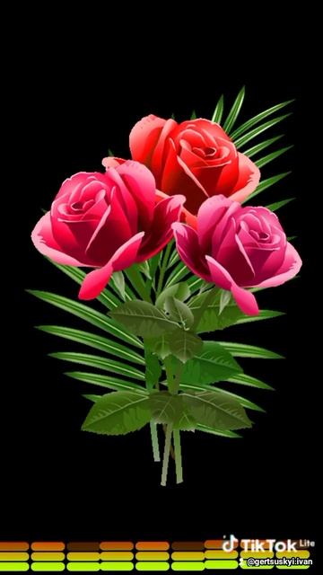 22 июля 2024 г.(2)