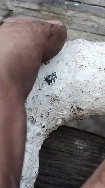 пакля Монтаж кранів