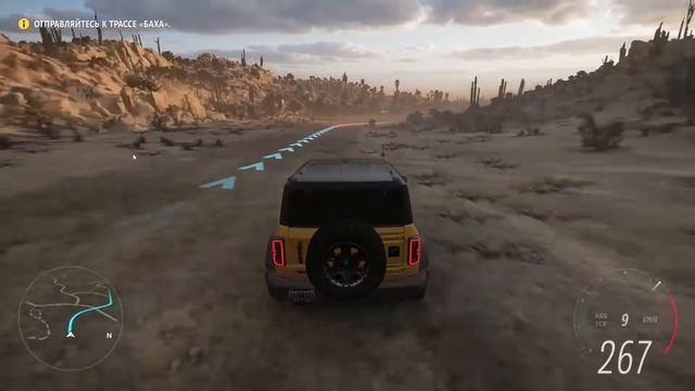 Forza, разочаровала?