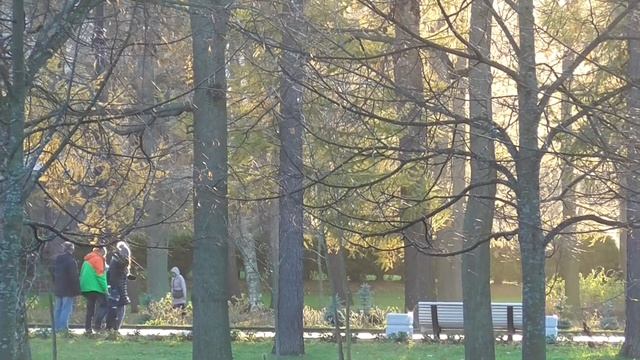 5 ноября 2018 г., 16:05:48 #Крестовский остров