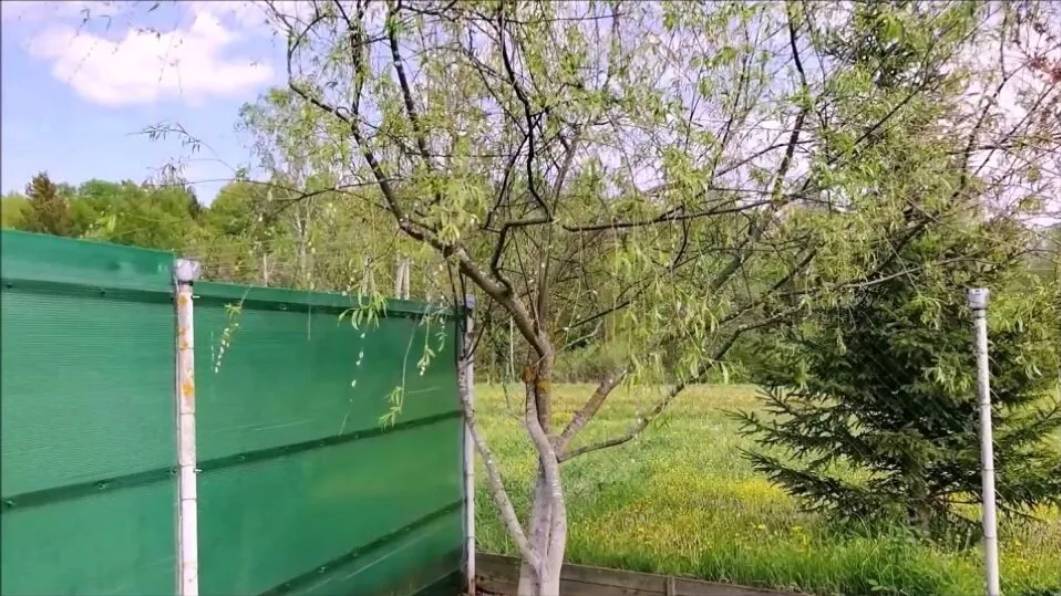 Автор Валентина Нарышкина - 