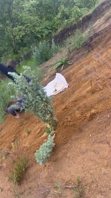 Залетели на песчаный карьер за песком для кладки