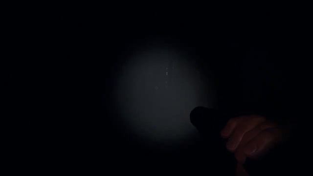 Школа на профессионале.Phasmophobia