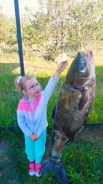 ОГО..!😱КТО ЖЕ БОЛЬШЕ?! 😱🐟👍😻 #vlog #shortvideo #dance  #cute #топ #рыба #best #love #shark #акула