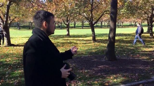 Тёплая осень в Нью-Йорке ноябрь 2016 фотосессия на природе