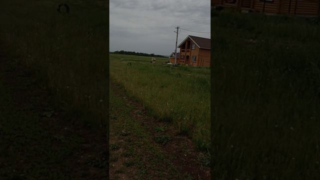 F8e3724c2570a34659999ddd54eac3cb