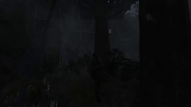 TOMB RAIDER 2013! БЫСТРЫЙ СПУСК!