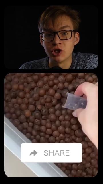 Керамзит или пеностекло? 🤔 #цветы #дача #сад #лайфхак