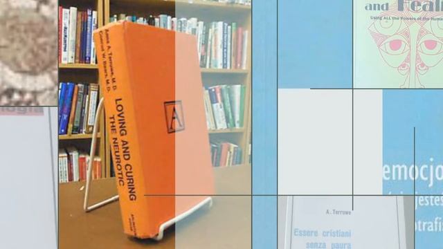 Dr ANN TERRUWE - DUCH PSYCHIATRIST AND Dr OF THEOLOGY