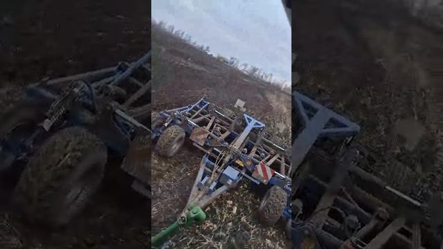 Кекерлинг Вектор 460 по озимой пшенице в Ростове