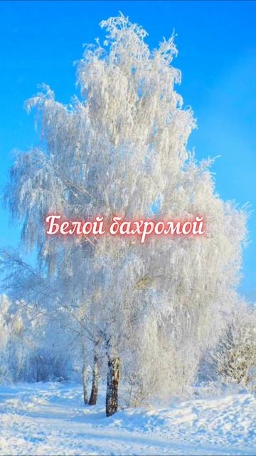 Есенин С.А. Берёза (Белая берёза под моим окном...) #shorts