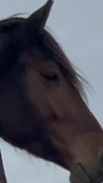 Участки сельхоз назначения на территории Краснодарского края.