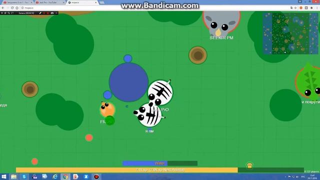 Mope.io  [тим C PUERMAN И НАГИБ]