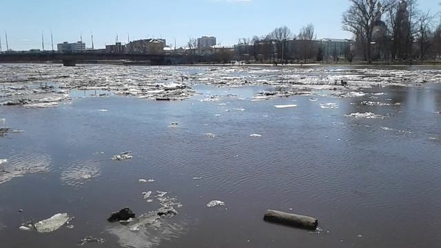 7 апреля 2018 год Половодье Орел