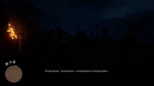Red Dead Redemption 2 ученый