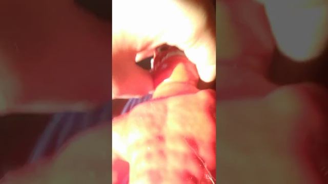 Игрушка вакменстер из Аликс преса