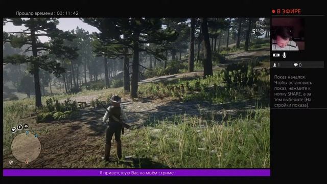 Red Dead Redemption 2 онлайн! PS4 от Fatalist . Внимание 18+ !!