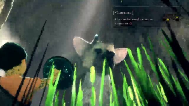 Прохождение Последний хранитель  The last guardian. 16