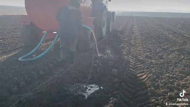 Полив вишні