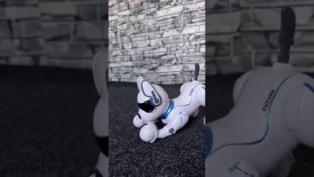 Собачка на радіокеруванні виконує голосові команди (А