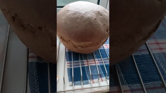 16.11.2024г.БИРОБИДЖАН.У НАС СНЕГ /ХЛЕБ РЖАНОЙ/знакомство п