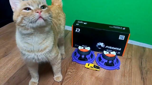 Эстрадная акустика DL Piranha 130 V.2