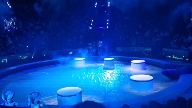 Поездка в МОСКОВСКИЙ ЦИРК