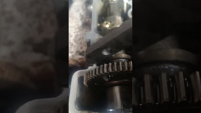 BMW M57 заміна ГРМ