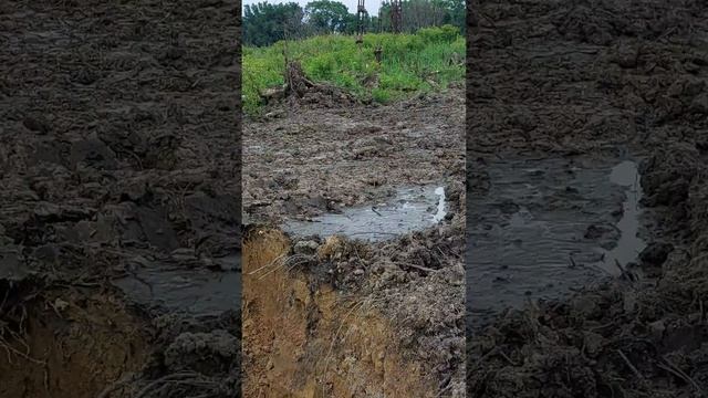 4454726f7cf8f2b03158130993ee6c2a