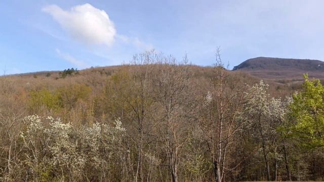 гора Бойка Крым #горабойка #крым