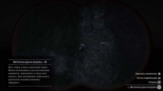 Red Dead Redemption 2_#8 поимка черной вдовы