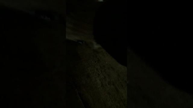 Звуки неисправности РЗМ?