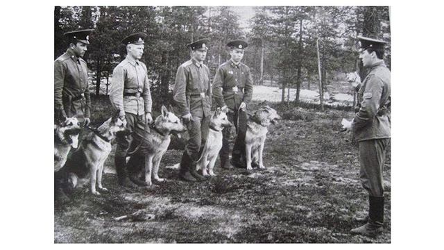 Профориентационно-познавательная программа «О профессиях разных, нужных и важных»