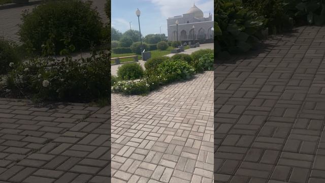 112f4e0e83bc5c53d3a88f81c5fd6fdb