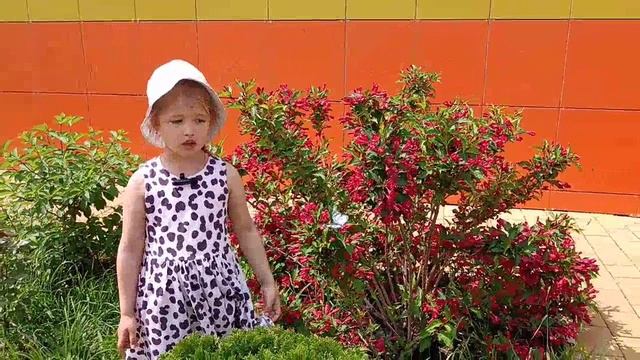 A488c35d8ba2fed89c3f8251675d408a