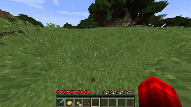 Играю своей деревни жителей номер 13, Построил себе нов